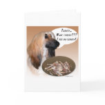 Afghan Turkey Greeting Cards