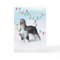 Afghan Yappy Holiday