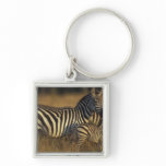 Africa, Kenya, Masai Mara Game Reserve. Plains Key Chain