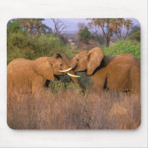 Africa, Kenya, Samburu. Elephant challenge Mouse Pad