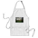 Africa Kenya wild land Apron