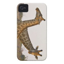 africa masai giraffe iphone4 case iphone iphone 4 case-mate cases