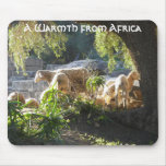 Africa Mousepad