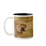 africa mugs