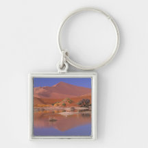 Africa, Namibia. Namib-Naukluft Park. 2 Keychains
