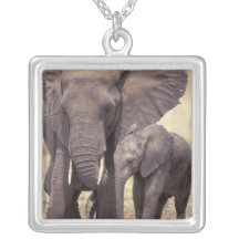 Africa, Tanzania, Tarangire National Park. 2 Pendants
