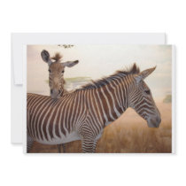 Africa - Zebra - Invitation