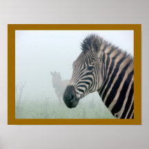 African Animals Zebra Stripes In The Mist Print