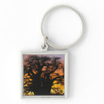 African baobab tree, Adansonia digitata, Keychains