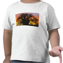 African baobab tree, Adansonia digitata, Tee Shirts