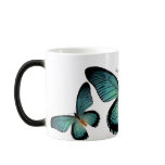 African Birdwing Butterfly mugs