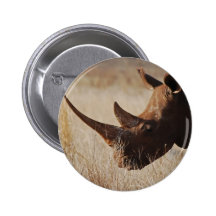 African black rhino with big horns buttons
