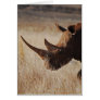 African black rhino with big horns greeting card