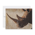 African black rhino with big horns custom announcement