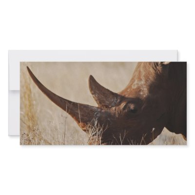 African black rhino with big horns photo greeting card by laureenr