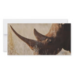 African black rhino with big horns photo cards