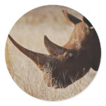 African black rhino with big horns round sticker