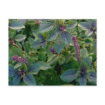 African Blue Basil