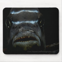 African Cichlid Mousepad