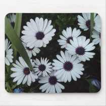 African Daisies Mousepads