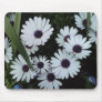 African Daisies Mousepads