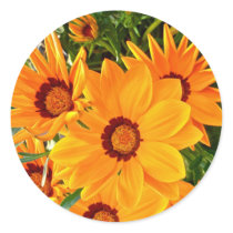 African Daisies Sticker