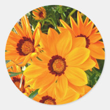 African Daisies Sticker