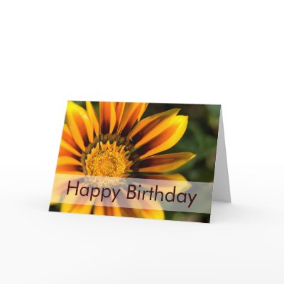 African Daisy • Birthday Card by SabineStGreetings
