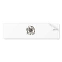 African Daisy Bumper Sticker