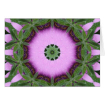 African Daisy Cards