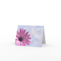 African Daisy Cards