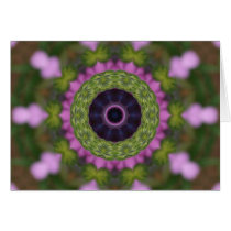 African Daisy Card