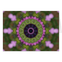 African Daisy Card