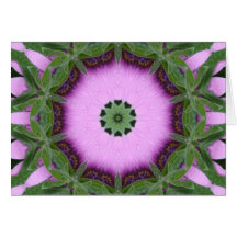 African Daisy Cards