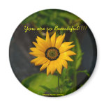African Daisy-Circle Magnet