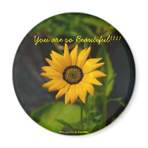African Daisy-Circle Magnet