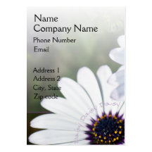 African Daisy Floral Business Card