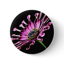 African Daisy Flower Pinback Button