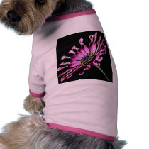 African Daisy Flower Pet Shirt