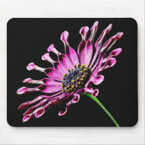 African Daisy Flower Mouse Pads