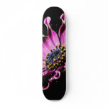 African Daisy Flower skateboards