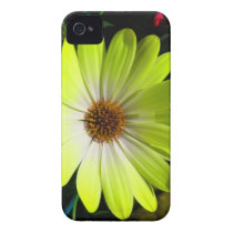 African Daisy Fluorescent Yellow iPhone 4 Case