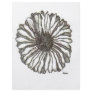 African Daisy Full Color Flyer