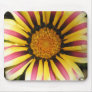 African Daisy Gazania Mousepad