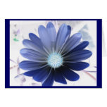 African Daisy Glowing Blue Greeting Card
