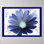 African Daisy Glowing Blue Print