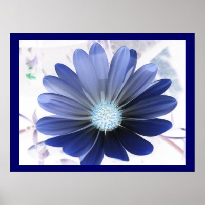 African Daisy Glowing Blue Print by Fallen_Angel_483