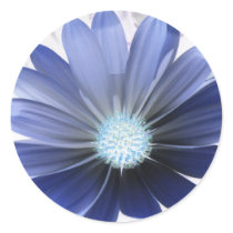 African Daisy Glowing Blue Sticker