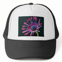 African Daisy
