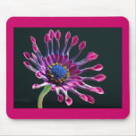African Daisy Mousepad